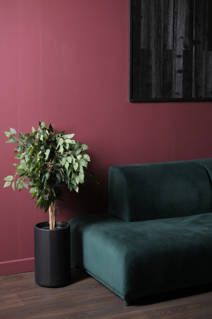 Профессиональная фотосессия в Санкт-Петербурга — заказать по низкой цене в федеральной сети фотостудий Fashion Box – фото № 11