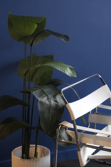 Профессиональная фотосессия в Санкт-Петербурга — заказать по низкой цене в федеральной сети фотостудий Fashion Box – фото № 16