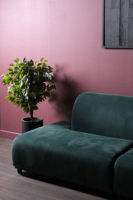 Профессиональная фотосессия в Санкт-Петербурга — заказать по низкой цене в федеральной сети фотостудий Fashion Box – фото № 9